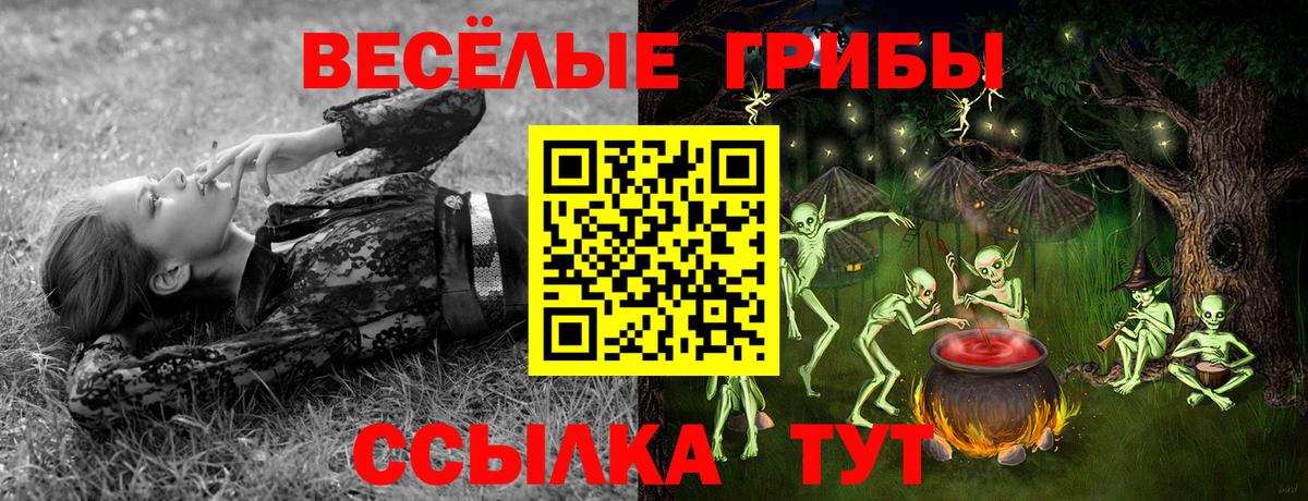 Псилоцибиновые грибы мухоморы Бирск