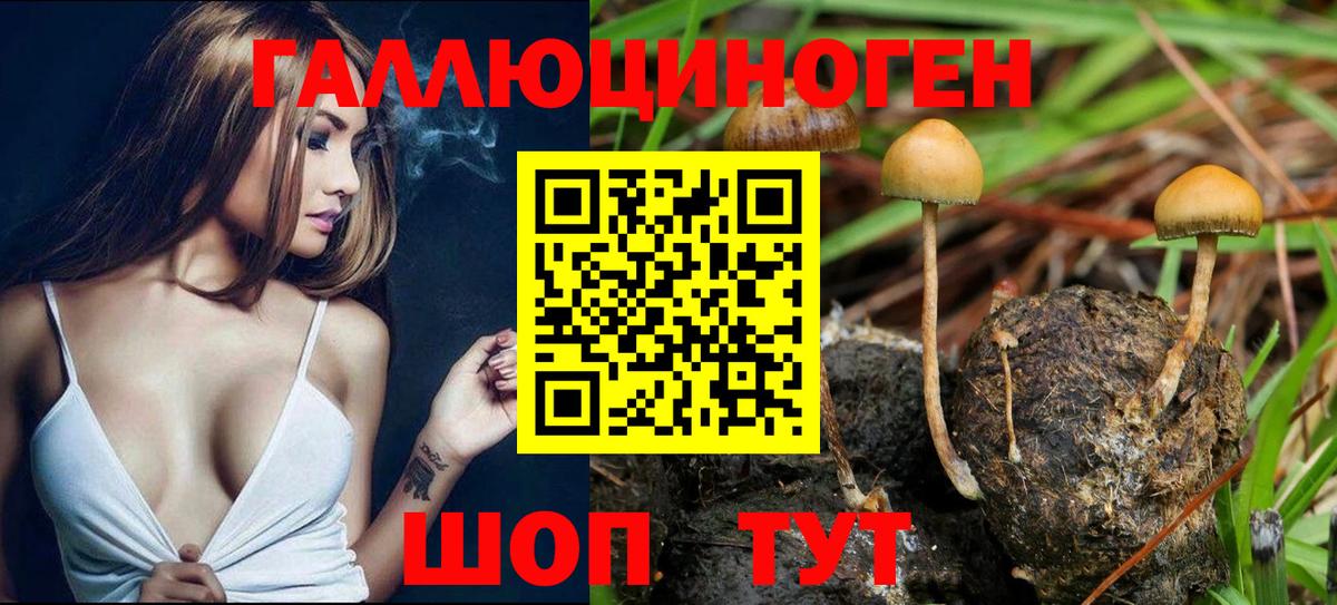 Галлюциногенные грибы Magic Shrooms  Псилоцибиновые грибы прущие грибы  Вход с VPN  Бирск 